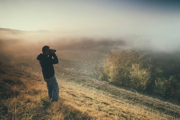 Où trouver les meilleures expériences de bains de forêt en Corée du Sud?